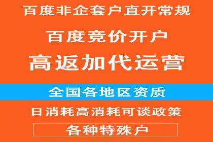 行业领先企业的百度竞价代运营经验分享